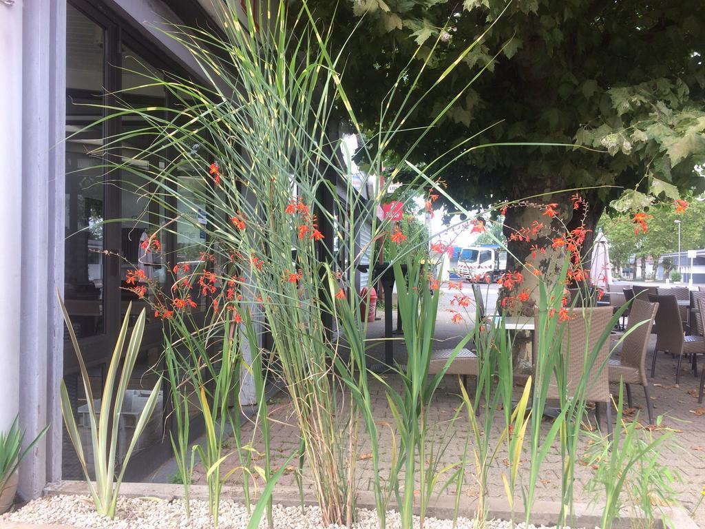 Hotel La Hourquie Cafe Morlaas Exterior foto